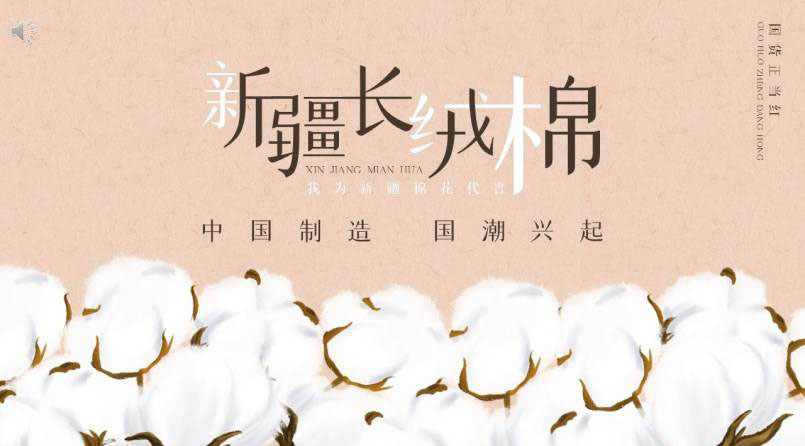 ½L(zhng)qPPT 